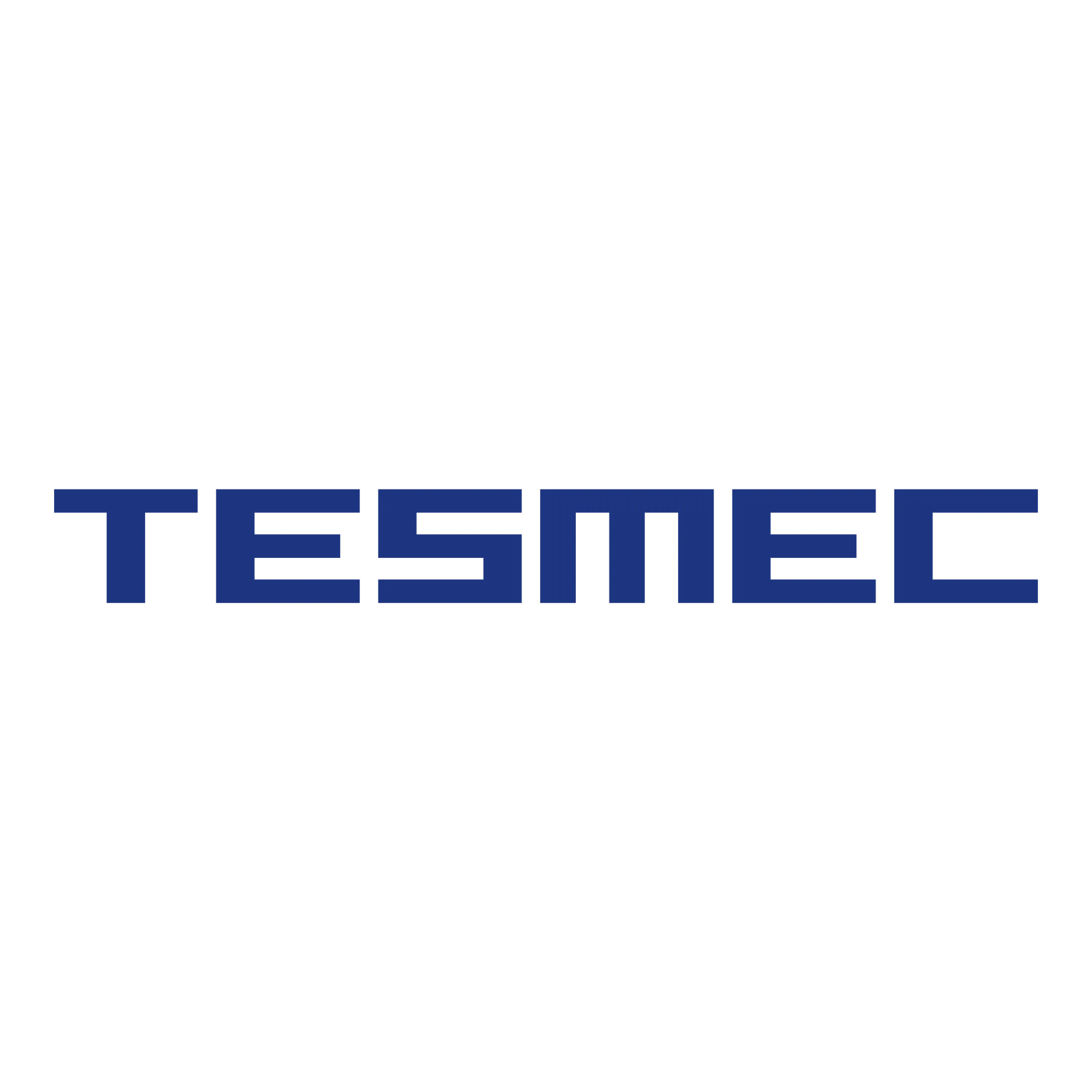 LOGO tesmec
